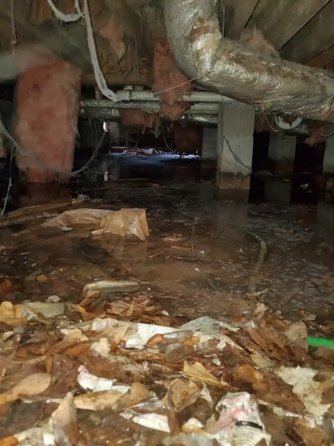 Crawl space flood assessment for Leak Detection & Repair in Williams