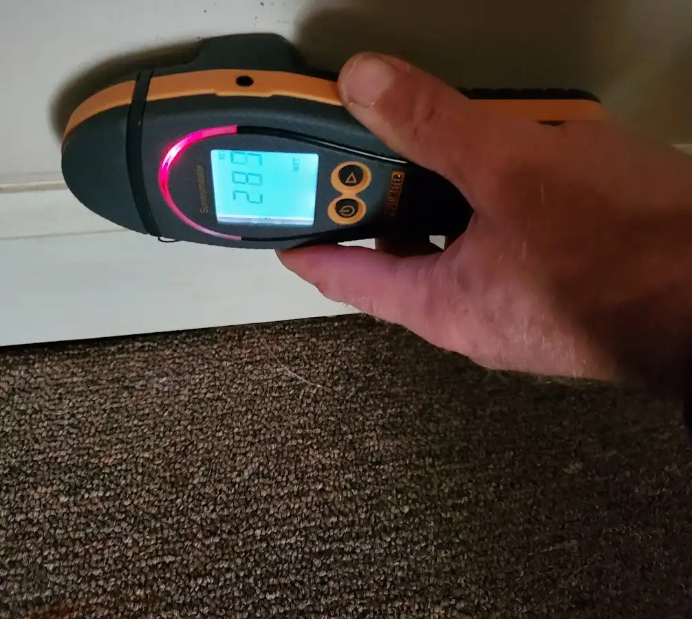 Moisture detection at baseboard during Burst Pipe Cleanup in Williams